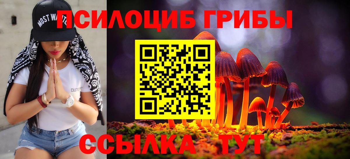 Ржев  Галлюциногенные грибы мухоморы  Псилоцибиновые грибы прущие грибы  Вход с VPN 