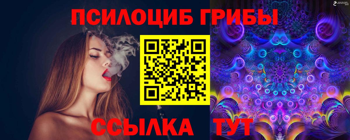 Галлюциногенные грибы Psilocybine cubensis Ржев